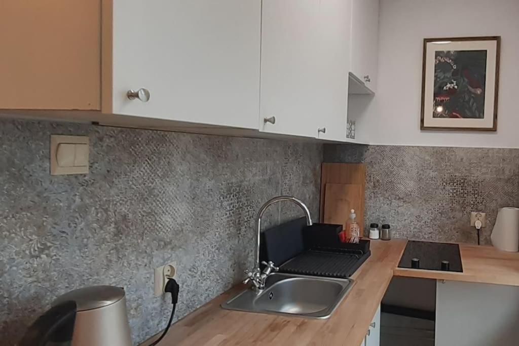 Lemuria Szkolna Centrum Apartment