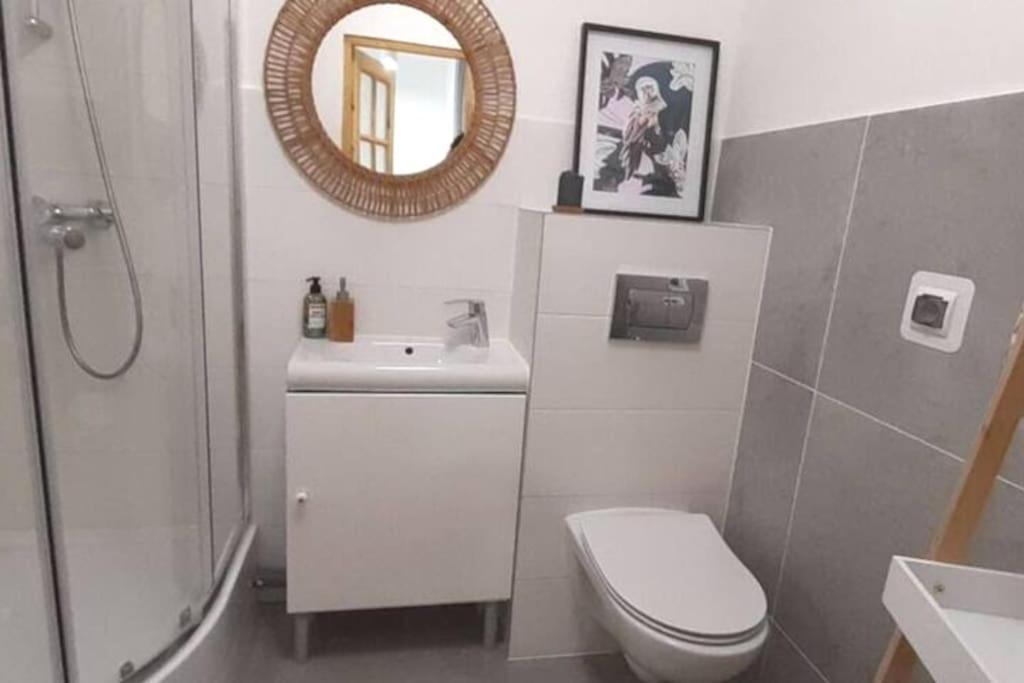 Lemuria Szkolna Centrum Apartment Legnica